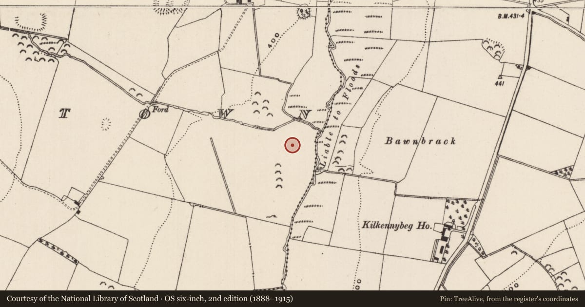 Ordnance Survey six-inch map, 2nd edition (1888–1915) covering the location of House - medieval, Mortlestown (Cooleagh Par.), County Tipperary South, with a pin at the register's coordinates