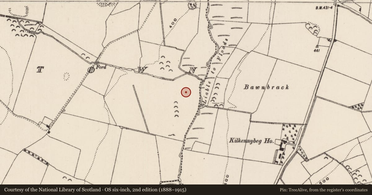 Ordnance Survey six-inch map, 2nd edition (1888–1915) covering the location of House - medieval, Mortlestown (Cooleagh Par.), County Tipperary South, with a pin at the register's coordinates