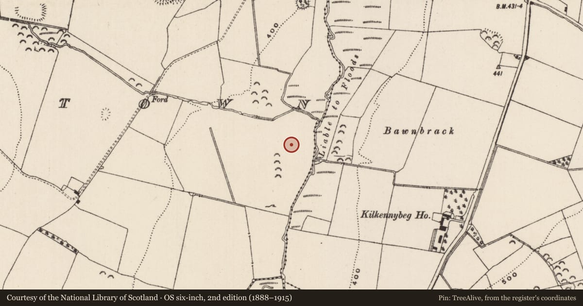 Ordnance Survey six-inch map, 2nd edition (1888–1915) covering the location of House - medieval, Mortlestown (Cooleagh Par.), County Tipperary South, with a pin at the register's coordinates