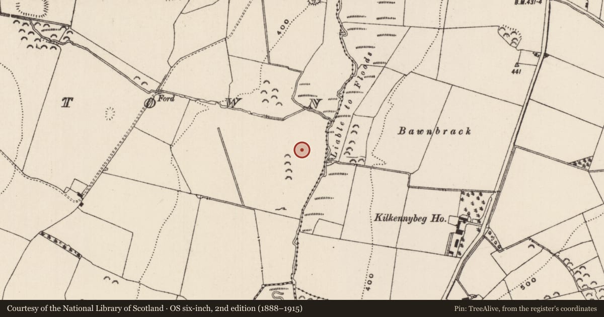 Ordnance Survey six-inch map, 2nd edition (1888–1915) covering the location of House - medieval, Mortlestown (Cooleagh Par.), County Tipperary South, with a pin at the register's coordinates