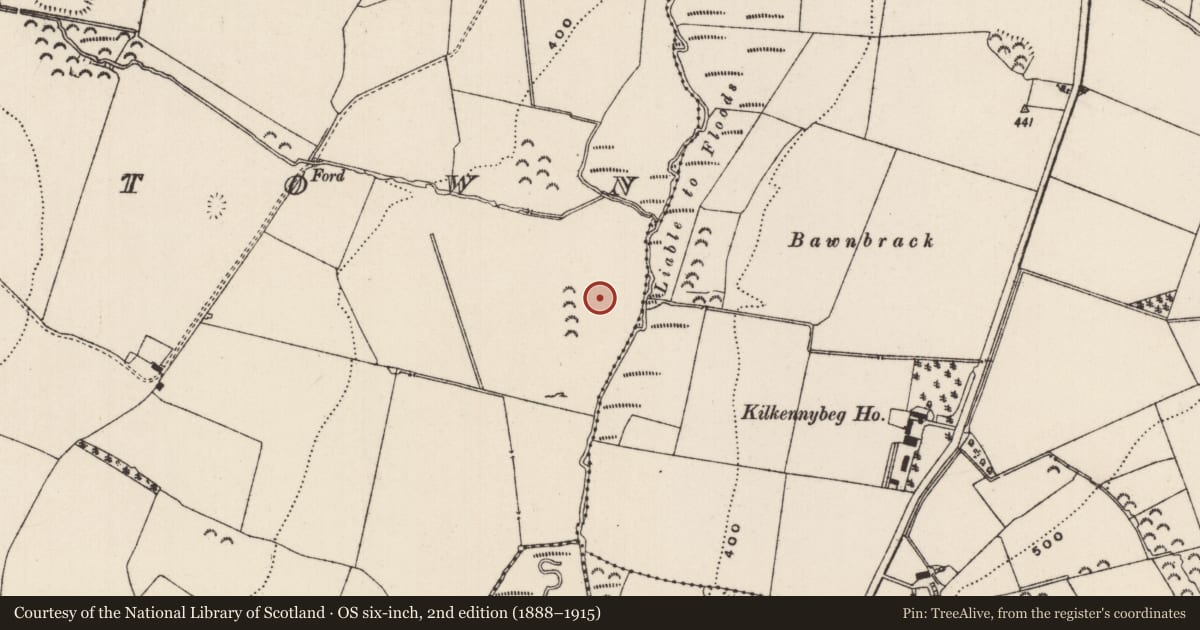 Ordnance Survey six-inch map, 2nd edition (1888–1915) covering the location of House - medieval, Mortlestown (Cooleagh Par.), County Tipperary South, with a pin at the register's coordinates