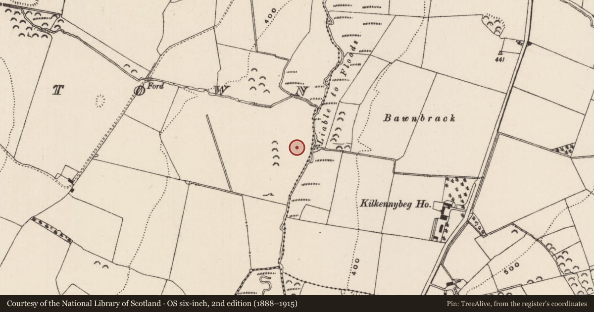 Ordnance Survey six-inch map, 2nd edition (1888–1915) covering the location of House - medieval, Mortlestown (Cooleagh Par.), County Tipperary South, with a pin at the register's coordinates