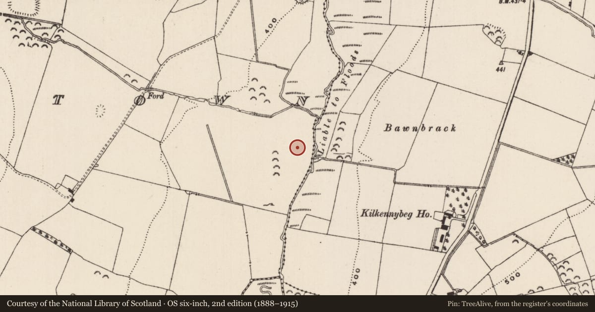 Ordnance Survey six-inch map, 2nd edition (1888–1915) covering the location of House - medieval, Mortlestown (Cooleagh Par.), County Tipperary South, with a pin at the register's coordinates