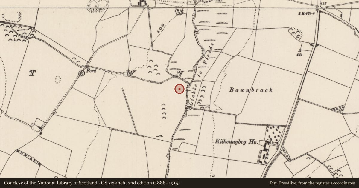 Ordnance Survey six-inch map, 2nd edition (1888–1915) covering the location of House - medieval, Mortlestown (Cooleagh Par.), County Tipperary South, with a pin at the register's coordinates