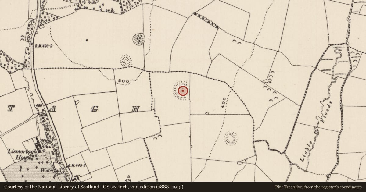 Ordnance Survey six-inch map, 2nd edition (1888–1915) covering the location of Enclosure, Milltown St. John, County Tipperary South, with a pin at the register's coordinates