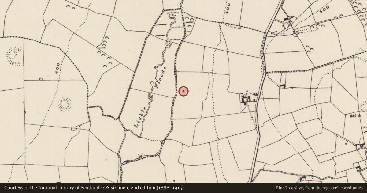 Ordnance Survey six-inch map, 2nd edition (1888–1915) covering the location of Enclosure, St. Johnstown, County Tipperary South, with a pin at the register's coordinates