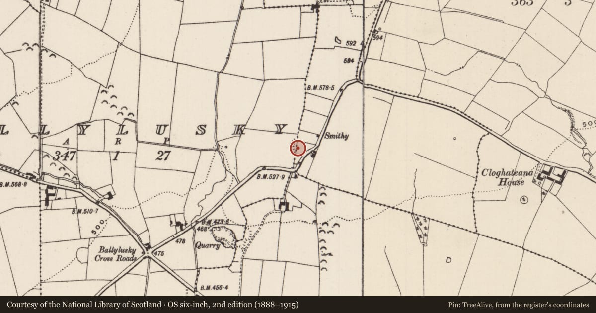 Ordnance Survey six-inch map, 2nd edition (1888–1915) covering the location of Enclosure, Ballylusky (Magowry Par.), Moyne, County Tipperary South, with a pin at the register's coordinates