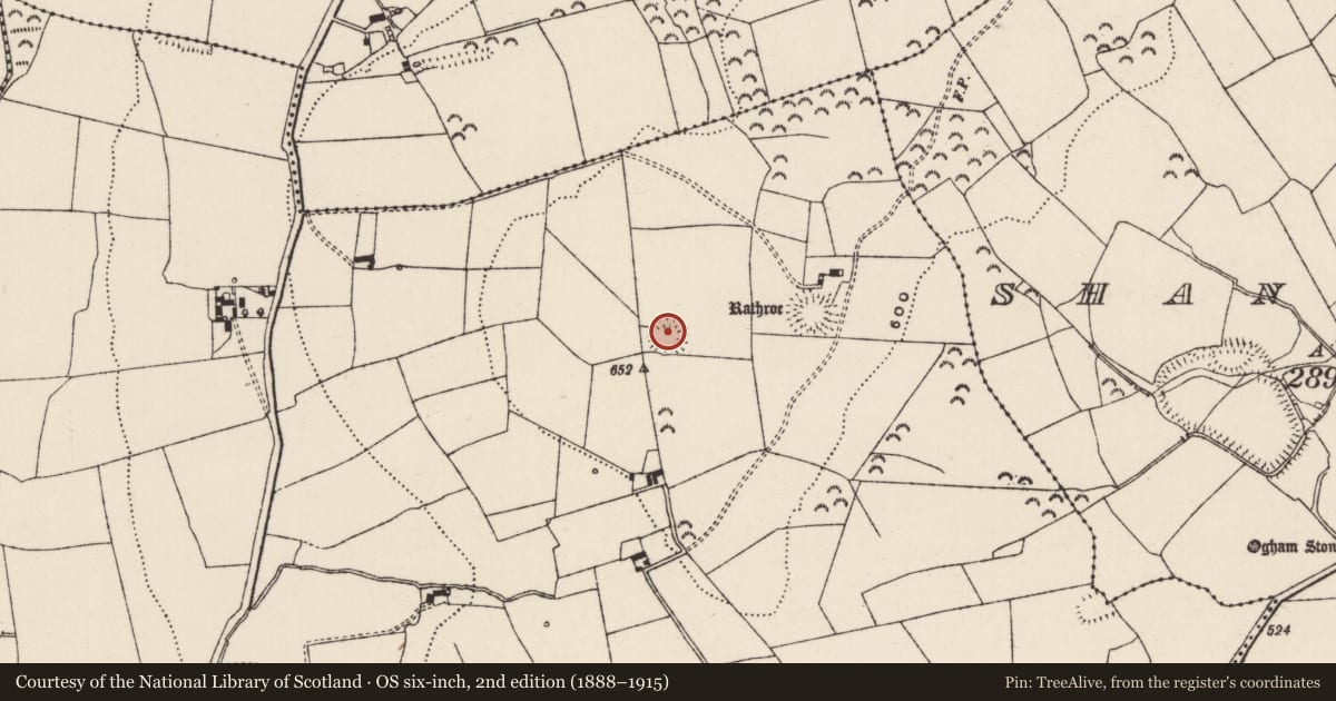 Ordnance Survey six-inch map, 2nd edition (1888–1915) covering the location of Enclosure, St. Johnstown, County Tipperary South, with a pin at the register's coordinates