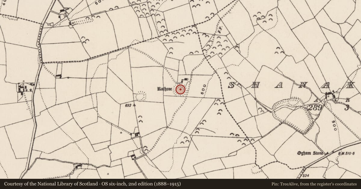 Ordnance Survey six-inch map, 2nd edition (1888–1915) covering the location of Ringfort - rath, St. Johnstown, County Tipperary South, with a pin at the register's coordinates