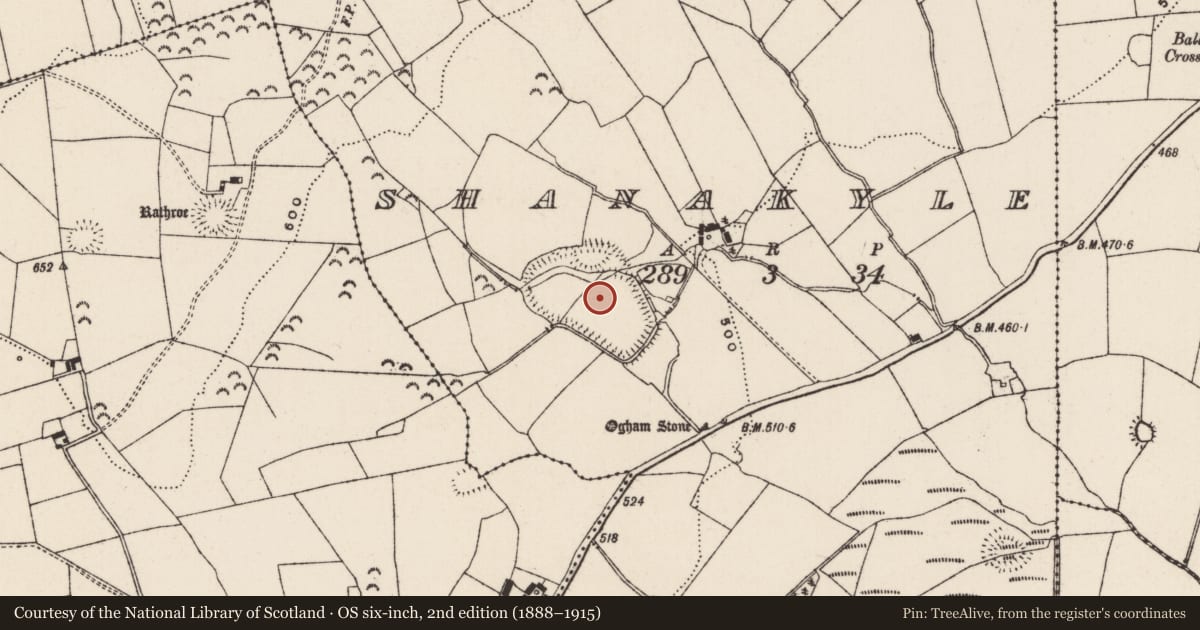 Ordnance Survey six-inch map, 2nd edition (1888–1915) covering the location of Ecclesiastical enclosure, Shanakyle, County Tipperary South, with a pin at the register's coordinates