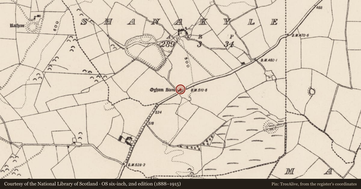 Ordnance Survey six-inch map, 2nd edition (1888–1915) covering the location of Cross - Wayside cross, Shanakyle, County Tipperary South, with a pin at the register's coordinates