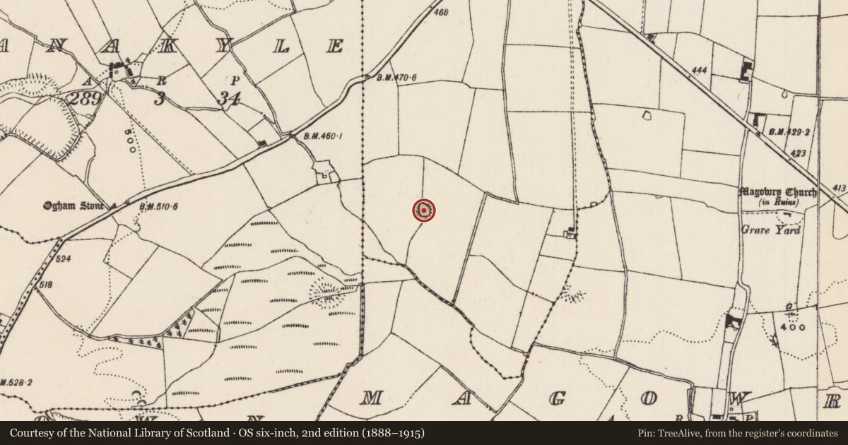 Ordnance Survey six-inch map, 2nd edition (1888–1915) covering the location of Enclosure, Ballylusky (Magowry Par.), County Tipperary South, with a pin at the register's coordinates