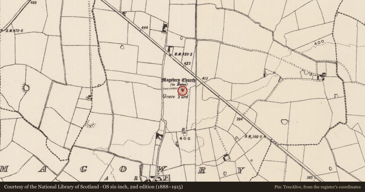 Ordnance Survey six-inch map, 2nd edition (1888–1915) covering the location of Church, Magowry, County Tipperary South, with a pin at the register's coordinates