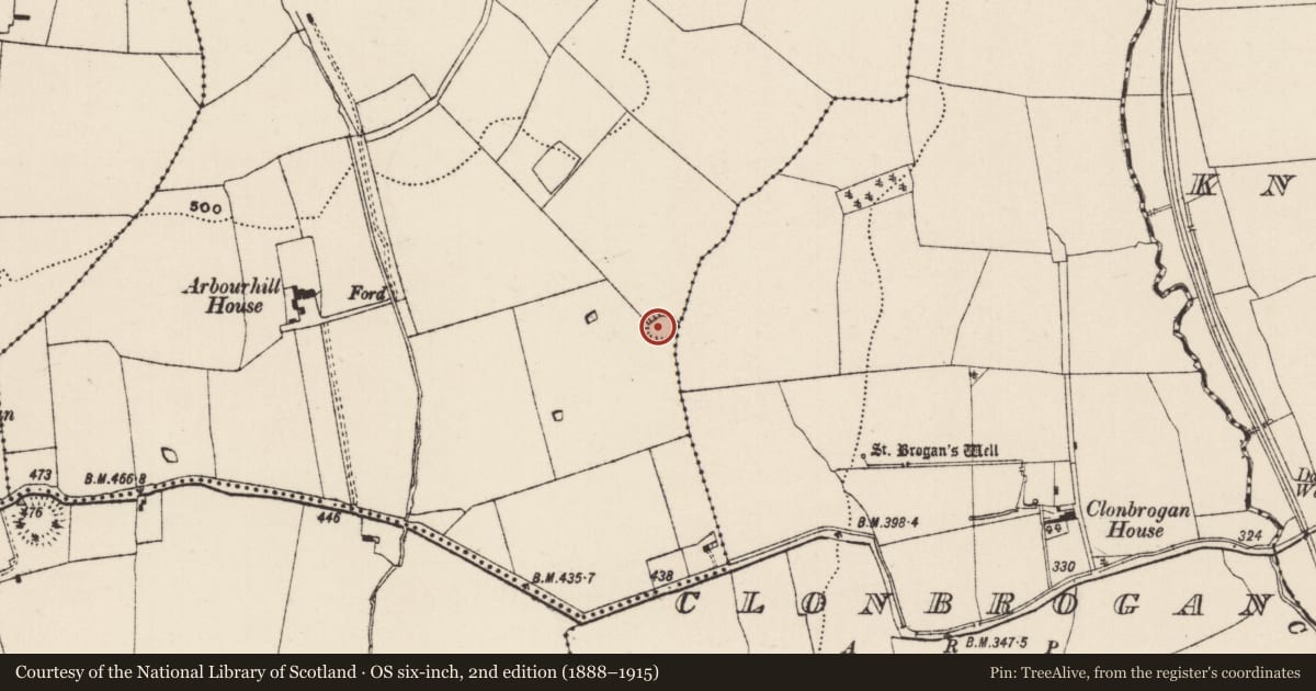 Ordnance Survey six-inch map, 2nd edition (1888–1915) covering the location of Ringfort - rath, Arbourhill (Magorban Par.), Clonbrogan, County Tipperary South, with a pin at the register's coordinates