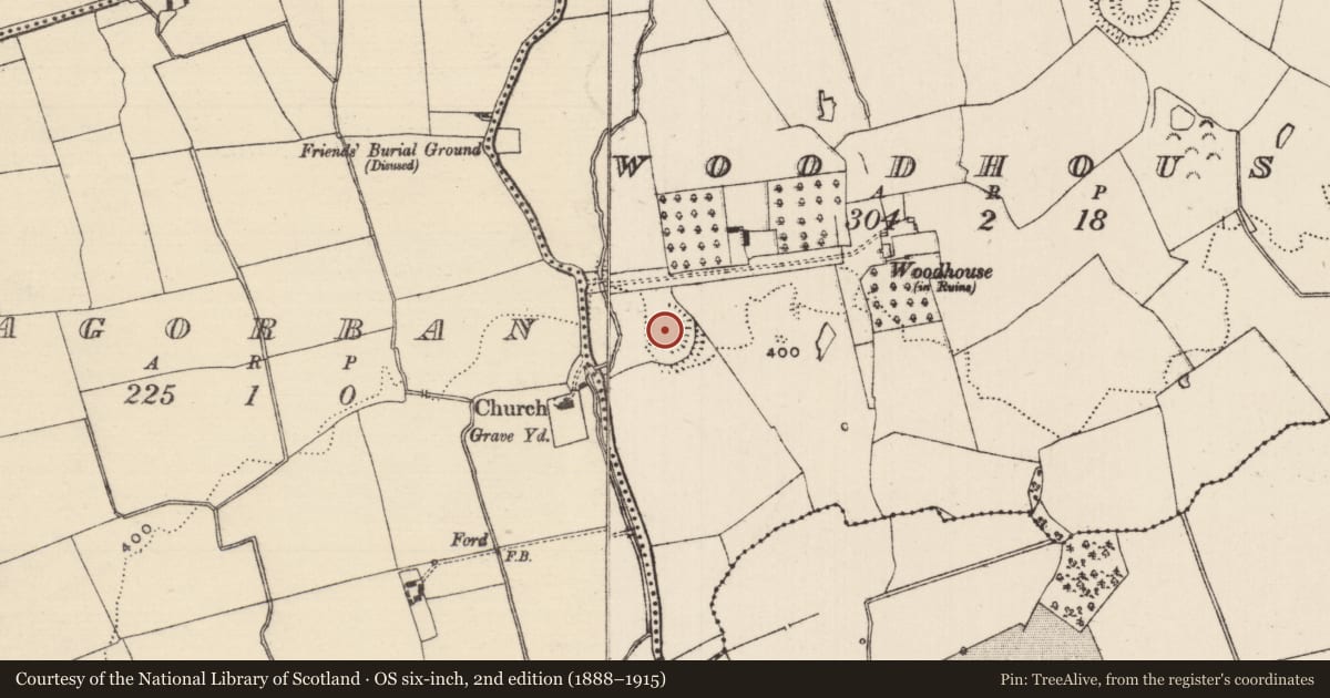 Ordnance Survey six-inch map, 2nd edition (1888–1915) covering the location of Castle - ringwork, Woodhouse, County Tipperary South, with a pin at the register's coordinates