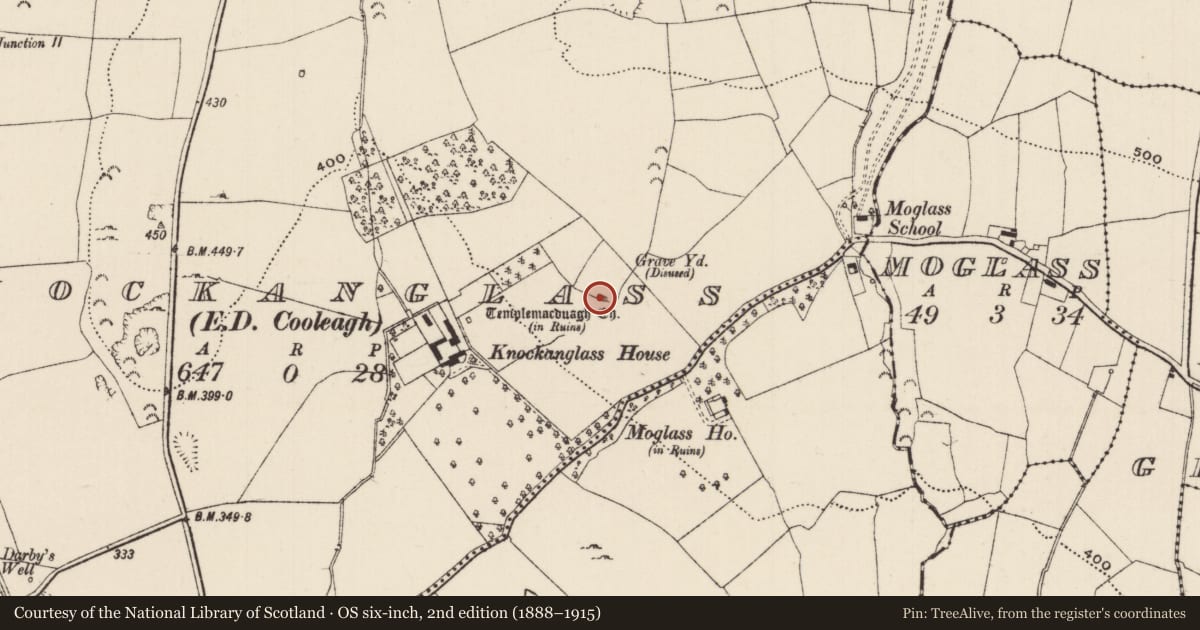 Ordnance Survey six-inch map, 2nd edition (1888–1915) covering the location of Church, Knockanglass (Killenaule Par.), County Tipperary South, with a pin at the register's coordinates