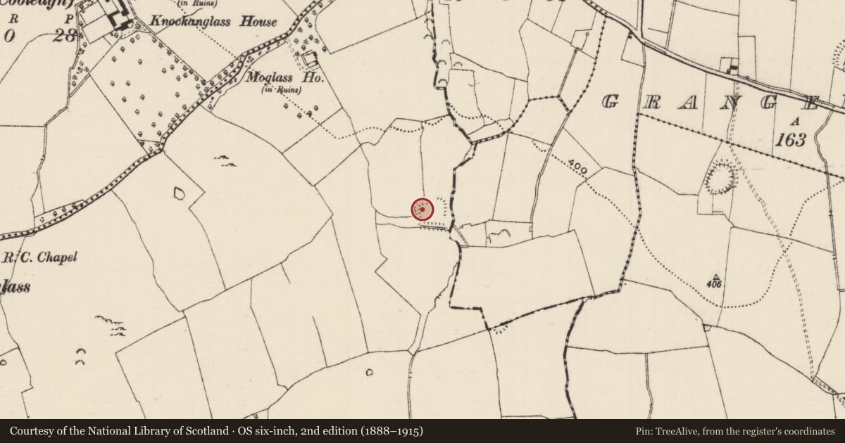 Ordnance Survey six-inch map, 2nd edition (1888–1915) covering the location of Moated site, Moglass (Killenaule Par.), County Tipperary South, with a pin at the register's coordinates