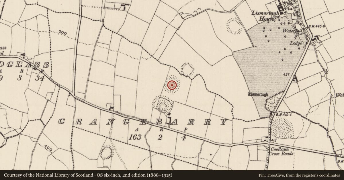 Ordnance Survey six-inch map, 2nd edition (1888–1915) covering the location of Ringfort - rath, Grangebarry, County Tipperary South, with a pin at the register's coordinates