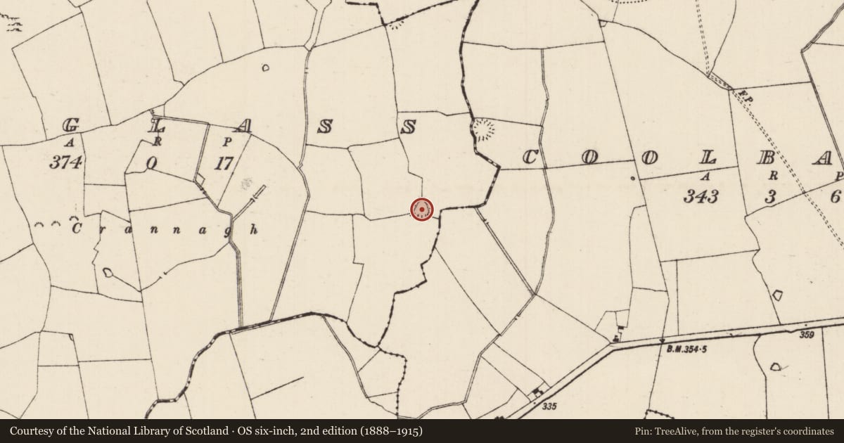 Ordnance Survey six-inch map, 2nd edition (1888–1915) covering the location of Enclosure, Moglass (Killenaule Par.), County Tipperary South, with a pin at the register's coordinates