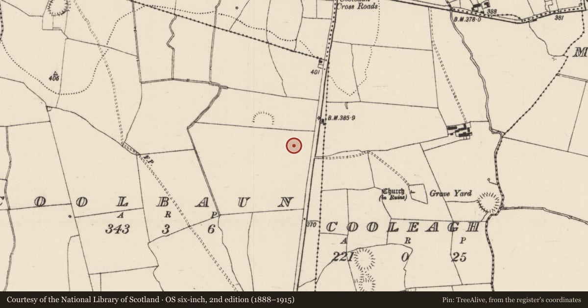 Ordnance Survey six-inch map, 2nd edition (1888–1915) covering the location of Burnt spread, Coolbaun (Cooleagh Par.), County Tipperary South, with a pin at the register's coordinates