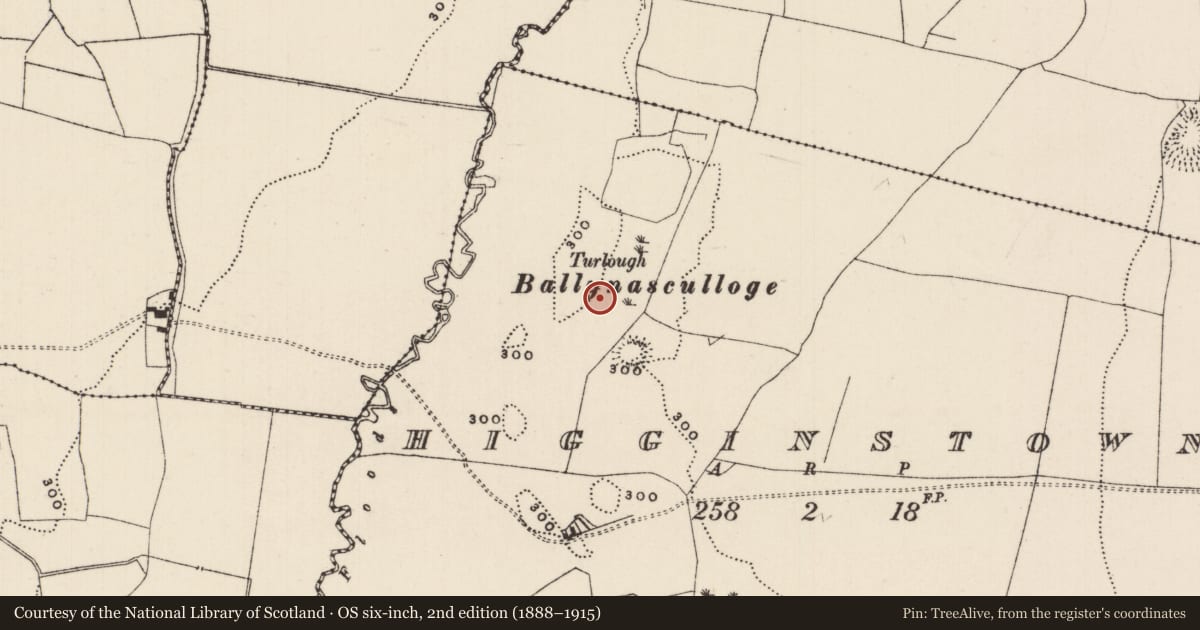 Ordnance Survey six-inch map, 2nd edition (1888–1915) covering the location of Settlement deserted - medieval, Higginstown, County Tipperary South, with a pin at the register's coordinates