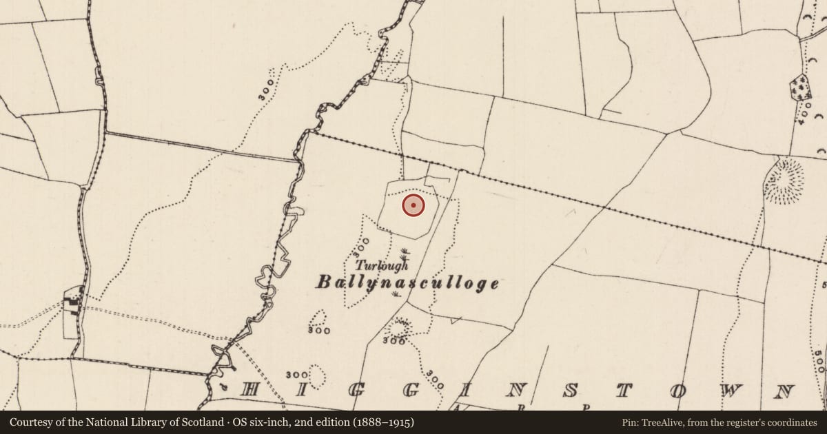 Ordnance Survey six-inch map, 2nd edition (1888–1915) covering the location of Enclosure, Higginstown, County Tipperary South, with a pin at the register's coordinates