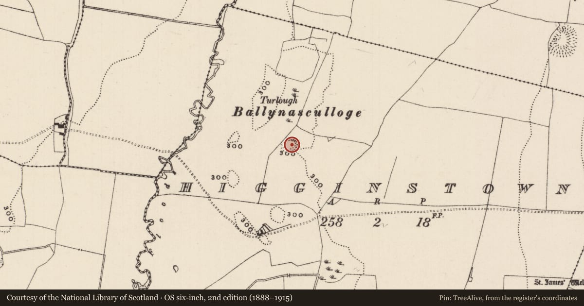 Ordnance Survey six-inch map, 2nd edition (1888–1915) covering the location of Enclosure, Higginstown, County Tipperary South, with a pin at the register's coordinates