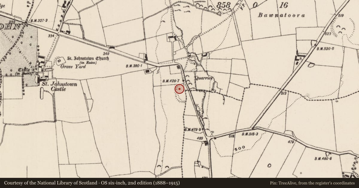 Ordnance Survey six-inch map, 2nd edition (1888–1915) covering the location of Enclosure, Lismoynan, St. Johnstown, County Tipperary South, with a pin at the register's coordinates