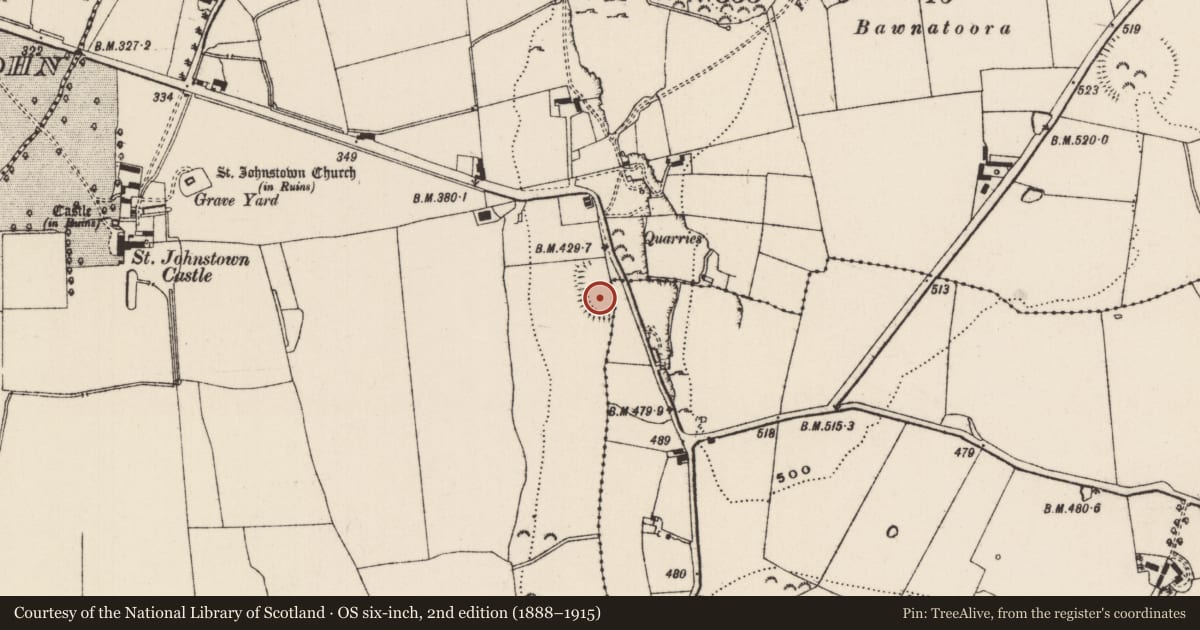 Ordnance Survey six-inch map, 2nd edition (1888–1915) covering the location of Enclosure, Lismoynan, St. Johnstown, County Tipperary South, with a pin at the register's coordinates