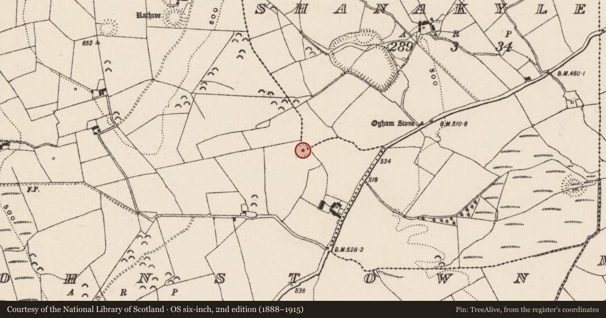 Ordnance Survey six-inch map, 2nd edition (1888–1915) covering the location of Moated site, Shanakyle, St. Johnstown, County Tipperary South, with a pin at the register's coordinates