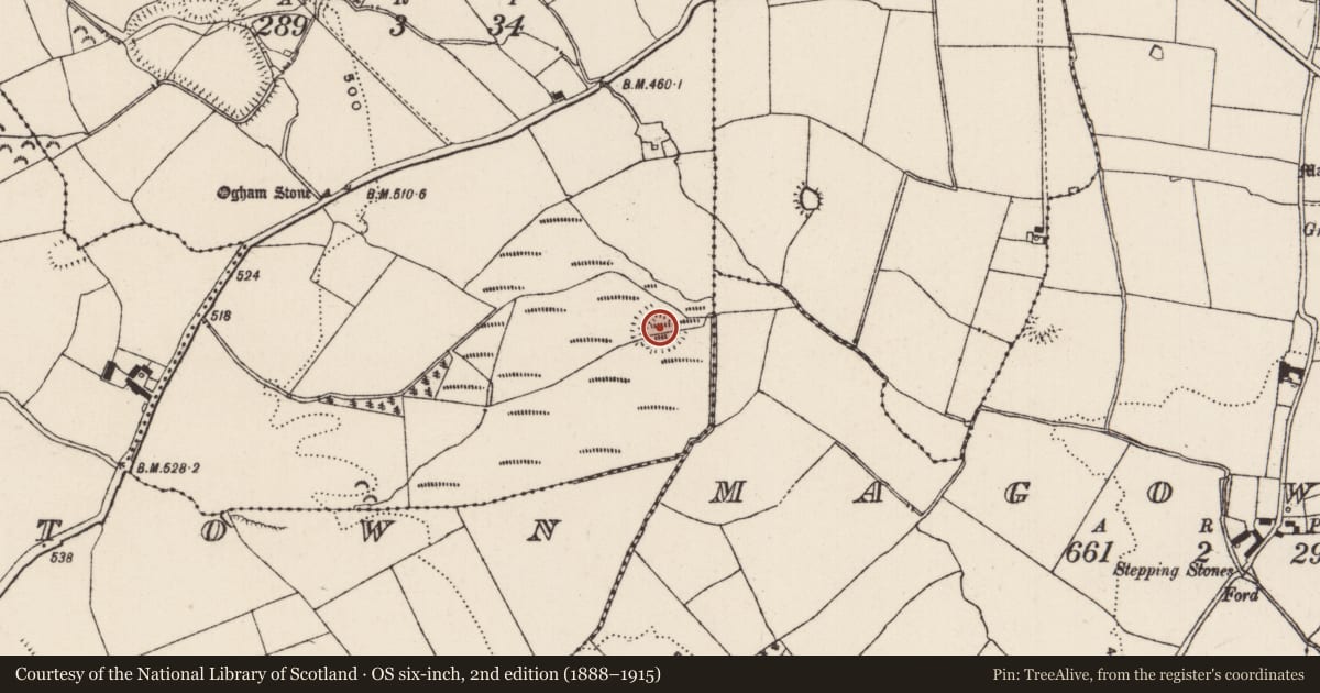 Ordnance Survey six-inch map, 2nd edition (1888–1915) covering the location of Castle - ringwork and bailey, Shanakyle, County Tipperary South, with a pin at the register's coordinates