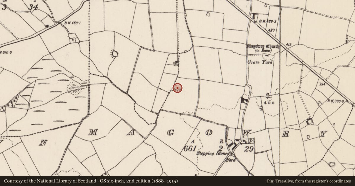 Ordnance Survey six-inch map, 2nd edition (1888–1915) covering the location of Ringfort - rath, Ballylusky (Magowry Par.), Magowry, County Tipperary South, with a pin at the register's coordinates