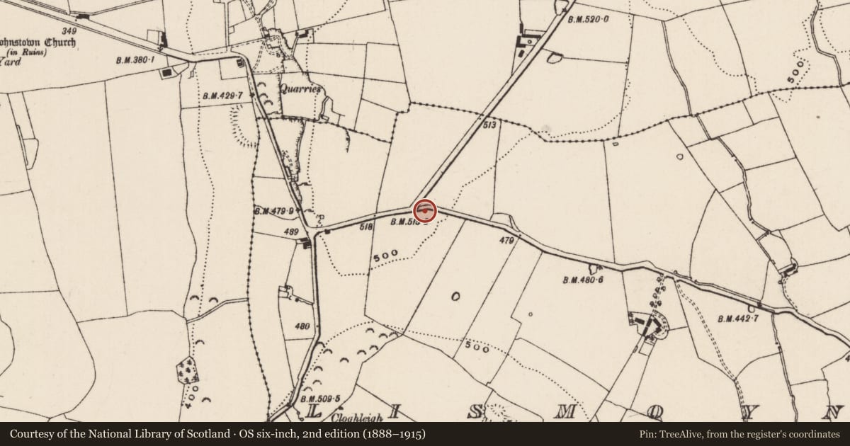 Ordnance Survey six-inch map, 2nd edition (1888–1915) covering the location of Enclosure, Lismoynan, County Tipperary South, with a pin at the register's coordinates