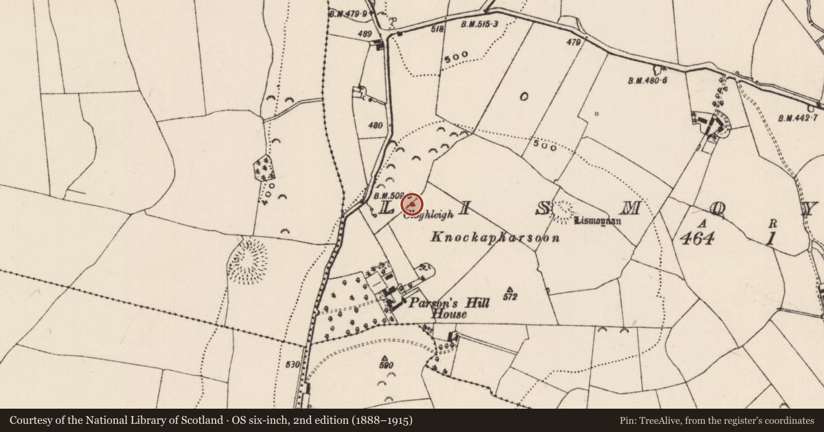 Ordnance Survey six-inch map, 2nd edition (1888–1915) covering the location of Standing stone, Lismoynan, County Tipperary South, with a pin at the register's coordinates