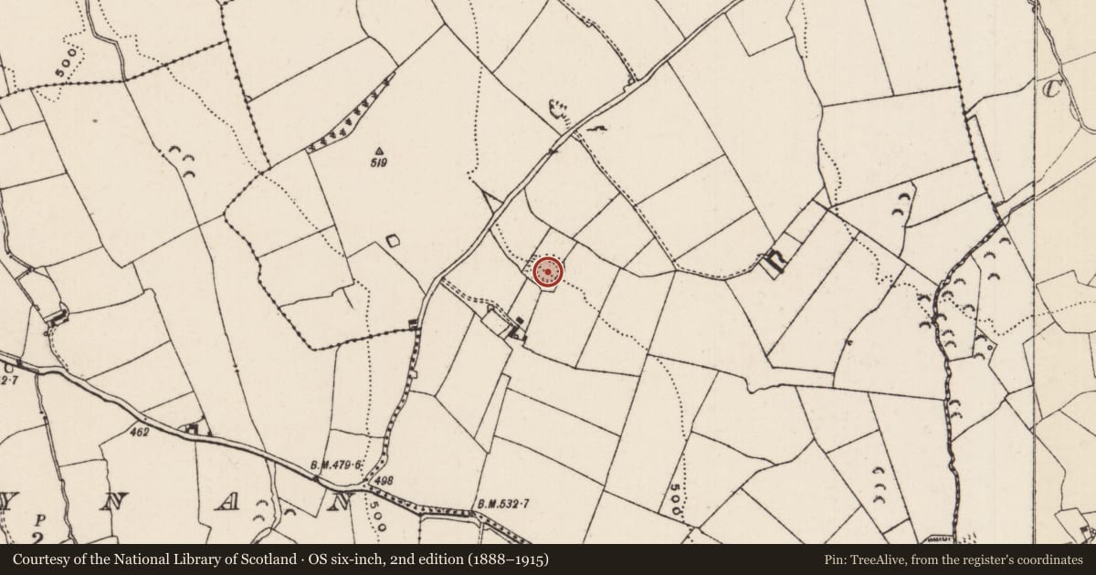 Ordnance Survey six-inch map, 2nd edition (1888–1915) covering the location of Enclosure, Magowry, County Tipperary South, with a pin at the register's coordinates