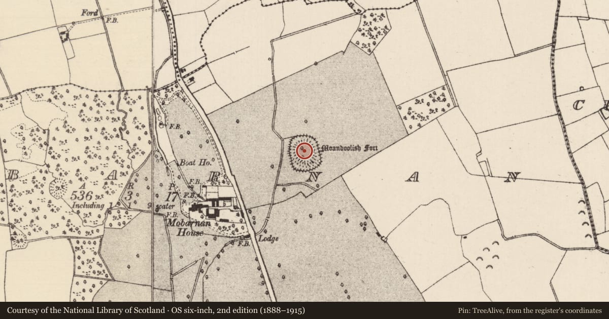 Ordnance Survey six-inch map, 2nd edition (1888–1915) covering the location of Ringfort - rath, Mobarnan, County Tipperary South, with a pin at the register's coordinates