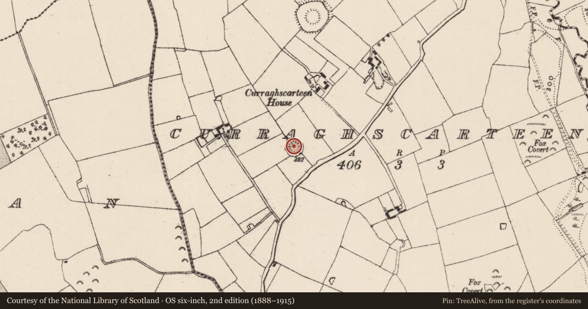 Ordnance Survey six-inch map, 2nd edition (1888–1915) covering the location of Ringfort - rath, Curraghscarteen, County Tipperary South, with a pin at the register's coordinates