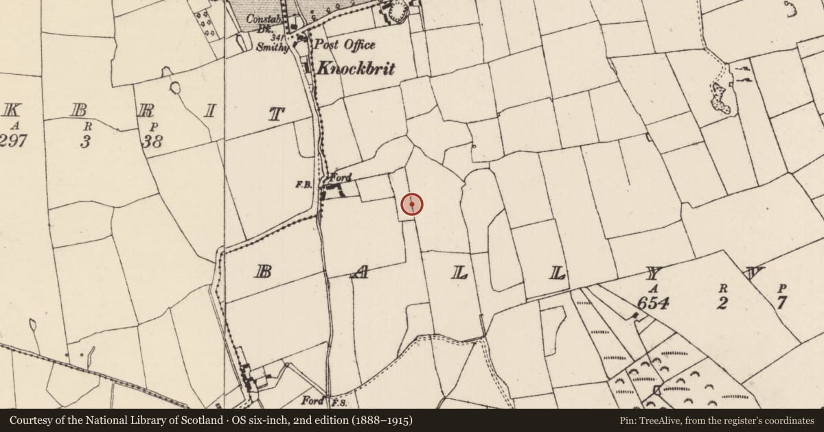Ordnance Survey six-inch map, 2nd edition (1888–1915) covering the location of Bawn, Ballyvadin (Magorban Par.), County Tipperary South, with a pin at the register's coordinates