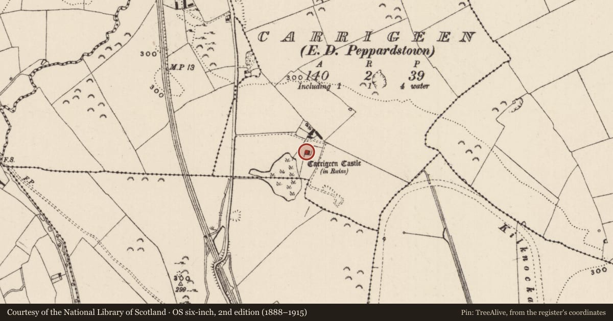 Ordnance Survey six-inch map, 2nd edition (1888–1915) covering the location of Castle - tower house, Carrigeen (Rathcool Par.), County Tipperary South, with a pin at the register's coordinates