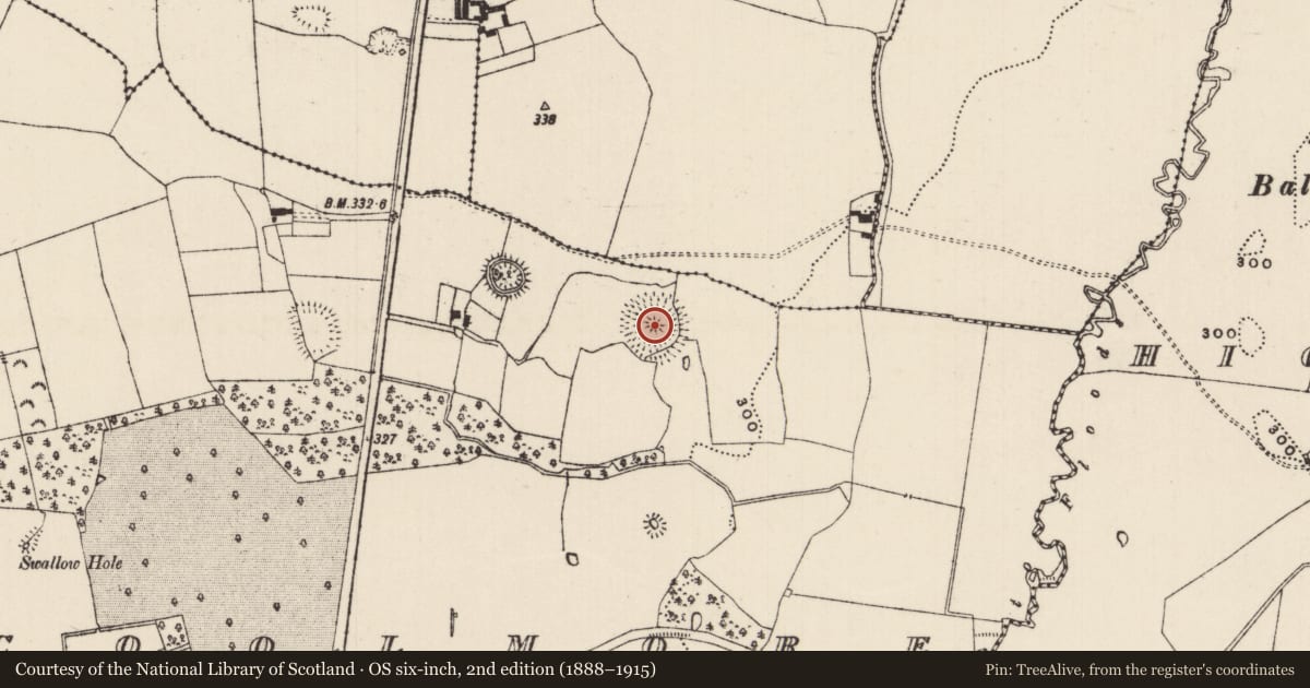 Ordnance Survey six-inch map, 2nd edition (1888–1915) covering the location of Ringfort - rath, Coolmore, County Tipperary South, with a pin at the register's coordinates