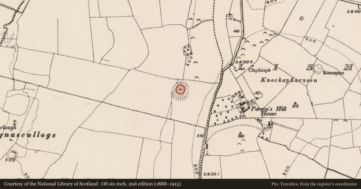 Ordnance Survey six-inch map, 2nd edition (1888–1915) covering the location of Ringfort - rath, St. Johnstown, County Tipperary South, with a pin at the register's coordinates