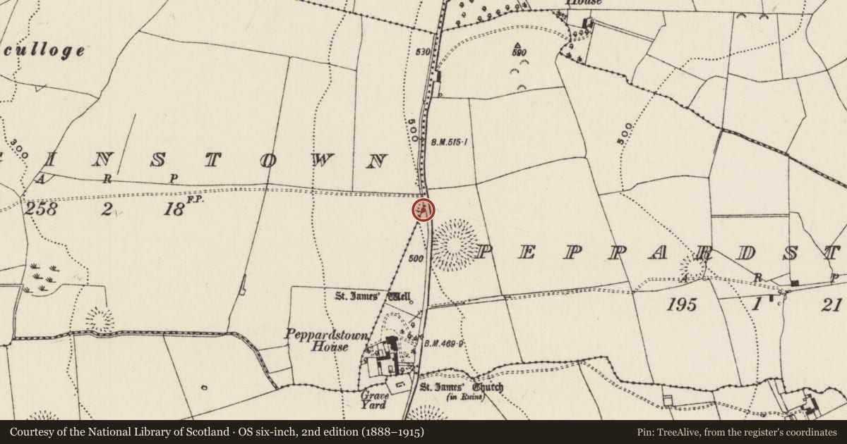 Ordnance Survey six-inch map, 2nd edition (1888–1915) covering the location of Gateway (present location), Peppardstown, County Tipperary South, with a pin at the register's coordinates