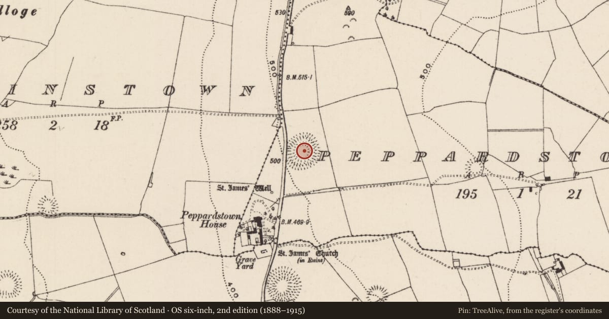 Ordnance Survey six-inch map, 2nd edition (1888–1915) covering the location of Ringfort - rath, Peppardstown, County Tipperary South, with a pin at the register's coordinates