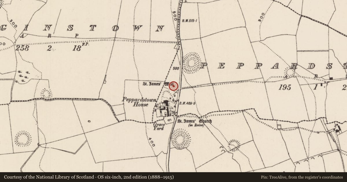 Ordnance Survey six-inch map, 2nd edition (1888–1915) covering the location of Ritual site - holy well, Peppardstown, County Tipperary South, with a pin at the register's coordinates