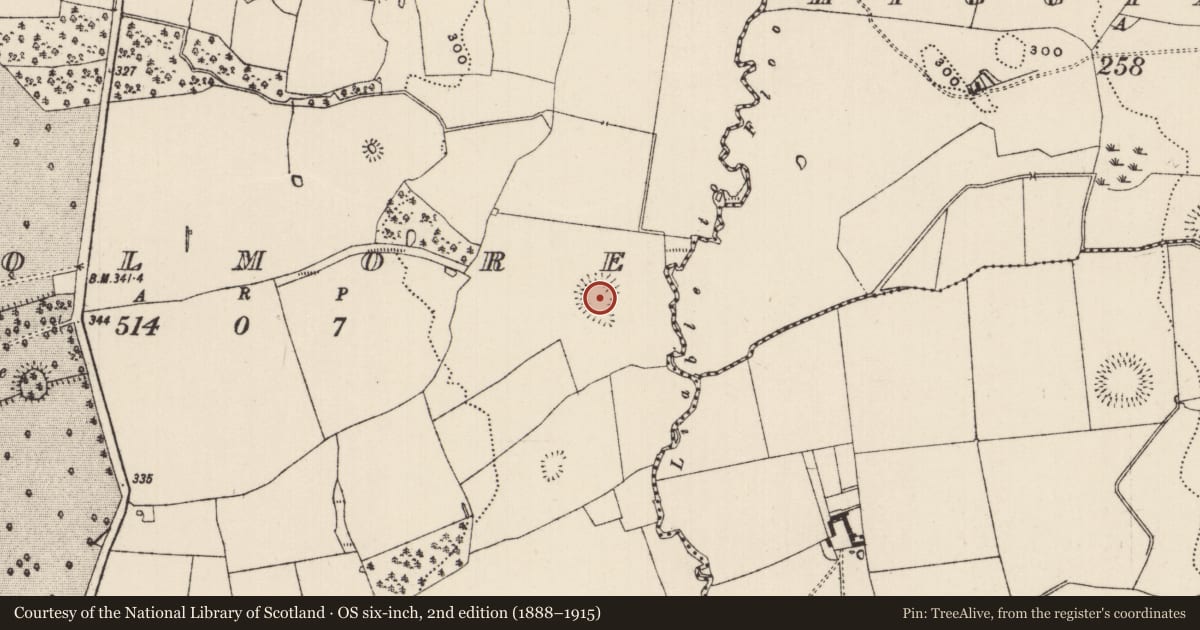 Ordnance Survey six-inch map, 2nd edition (1888–1915) covering the location of Ringfort - rath, Coolmore, County Tipperary South, with a pin at the register's coordinates