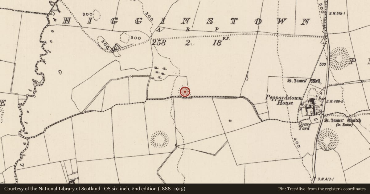Ordnance Survey six-inch map, 2nd edition (1888–1915) covering the location of Enclosure, Knockkelly, Higginstown, County Tipperary South, with a pin at the register's coordinates