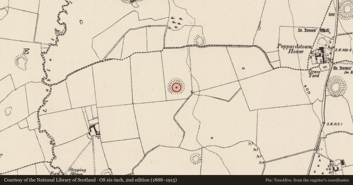 Ordnance Survey six-inch map, 2nd edition (1888–1915) covering the location of Ringfort - rath, Knockkelly, County Tipperary South, with a pin at the register's coordinates