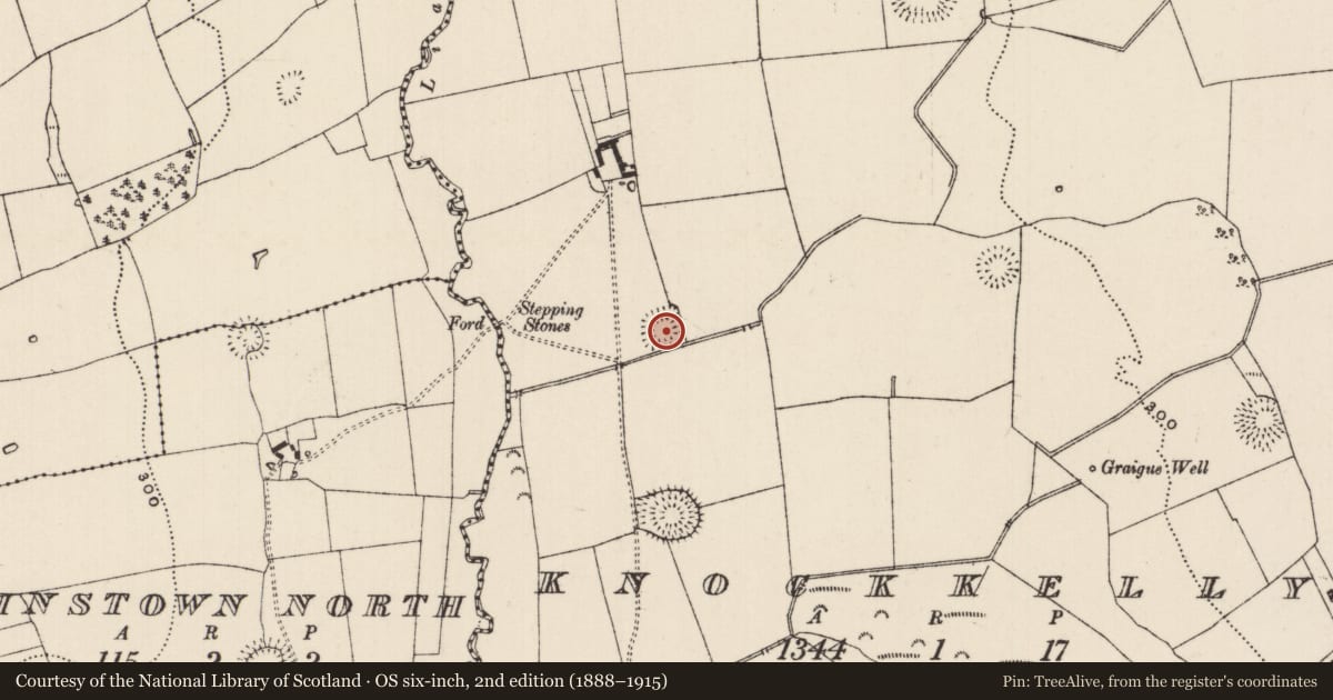 Ordnance Survey six-inch map, 2nd edition (1888–1915) covering the location of Moated site, Knockkelly, County Tipperary South, with a pin at the register's coordinates