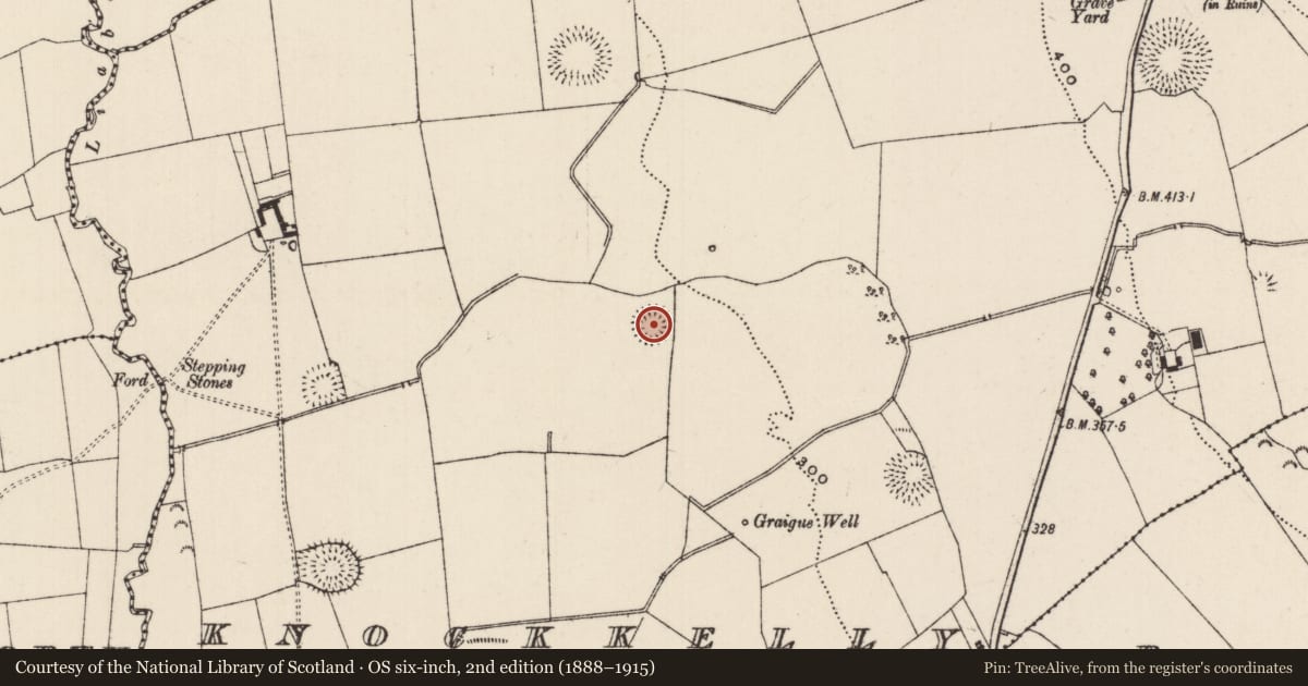 Ordnance Survey six-inch map, 2nd edition (1888–1915) covering the location of Ringfort - rath, Knockkelly, County Tipperary South, with a pin at the register's coordinates