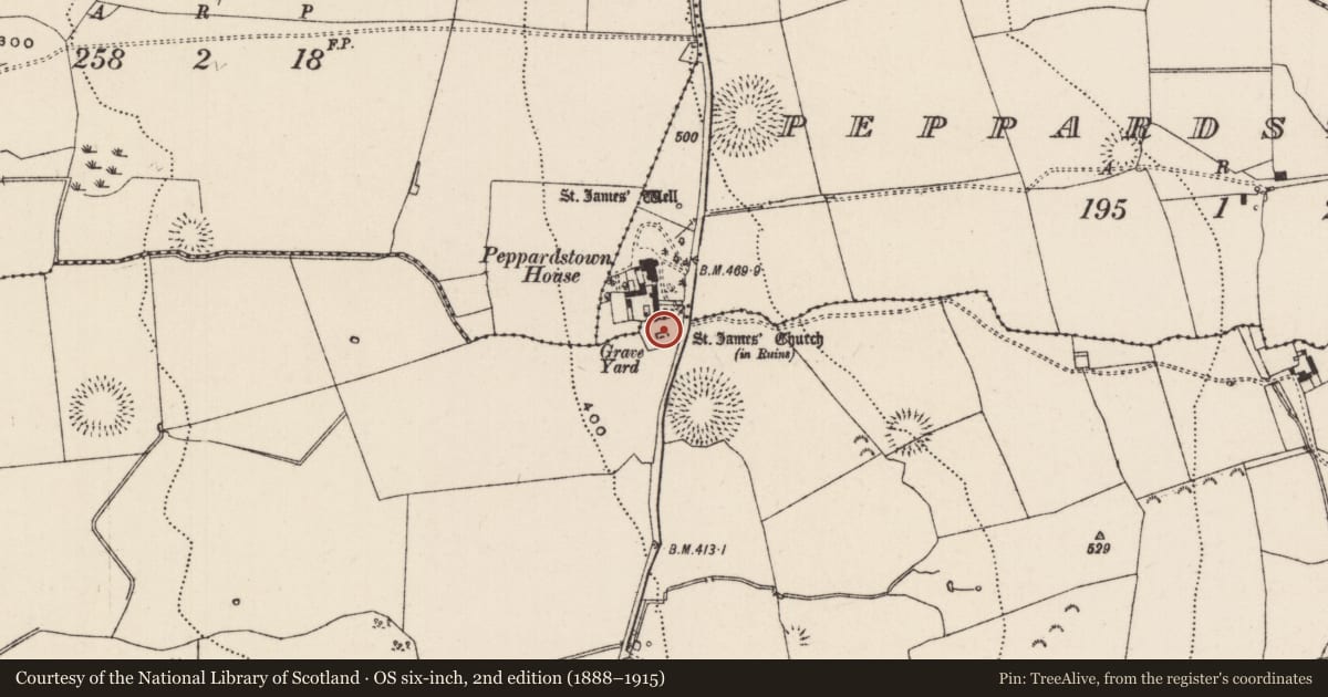 Ordnance Survey six-inch map, 2nd edition (1888–1915) covering the location of Graveyard, Knockkelly, County Tipperary South, with a pin at the register's coordinates